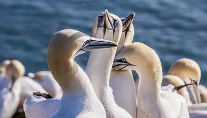 爱游戏中国官方网站平台-绝地反击！强队逆转获胜续写冠军争夺历史，绝地反击上演惊天逆转