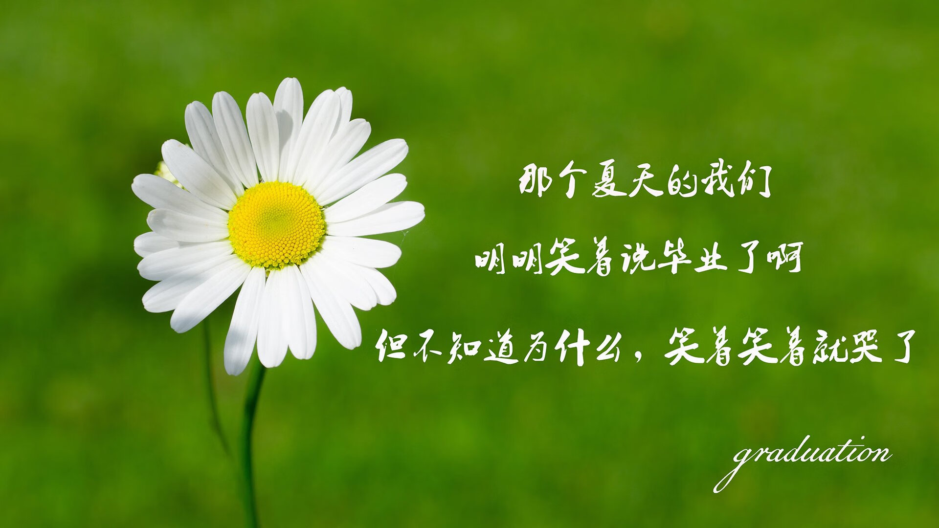 北京国安球员赛后采访，北京国安曾经球员