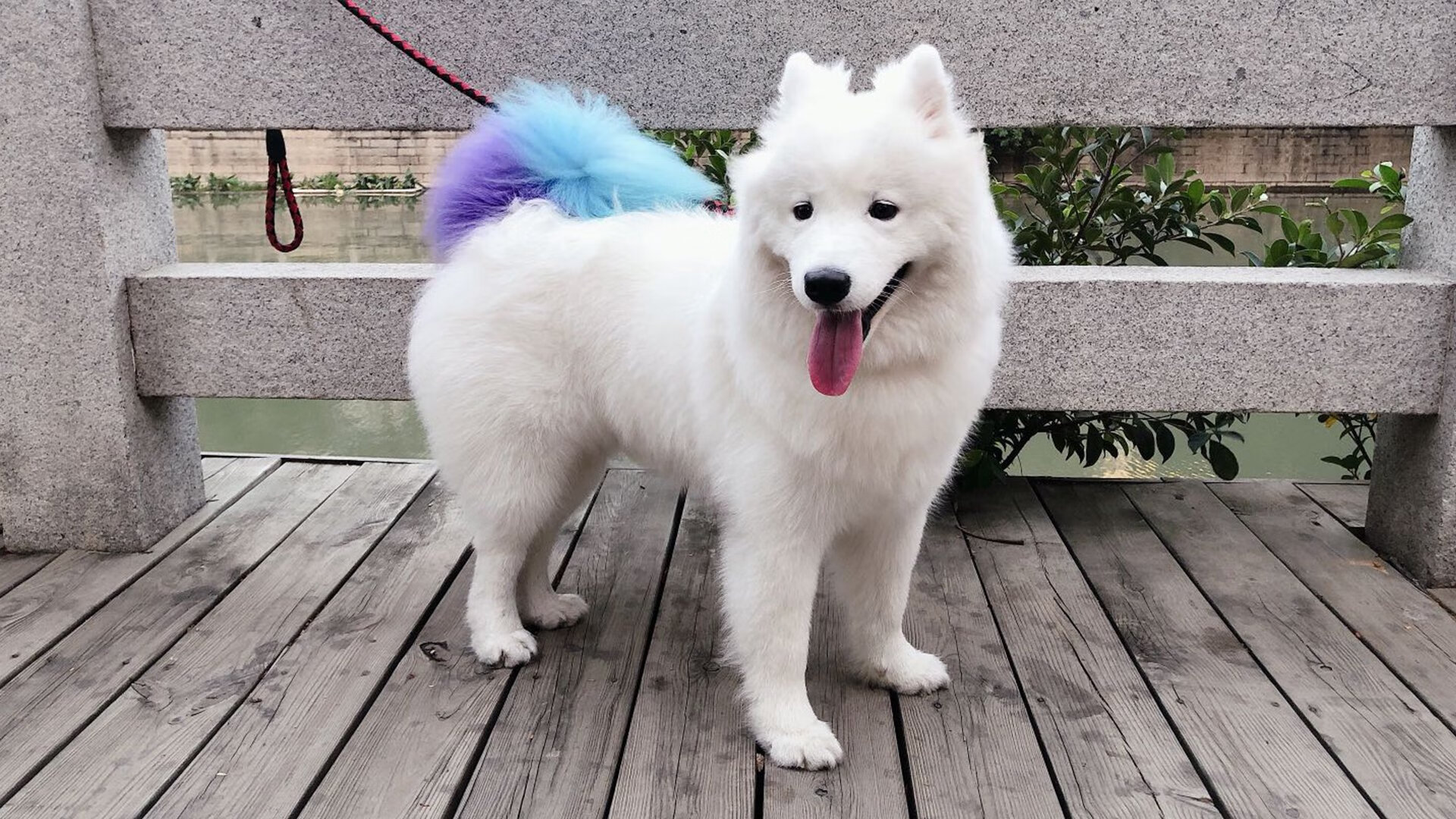 英超豪门争辉：每场比赛都堪比决赛，英超豪门多