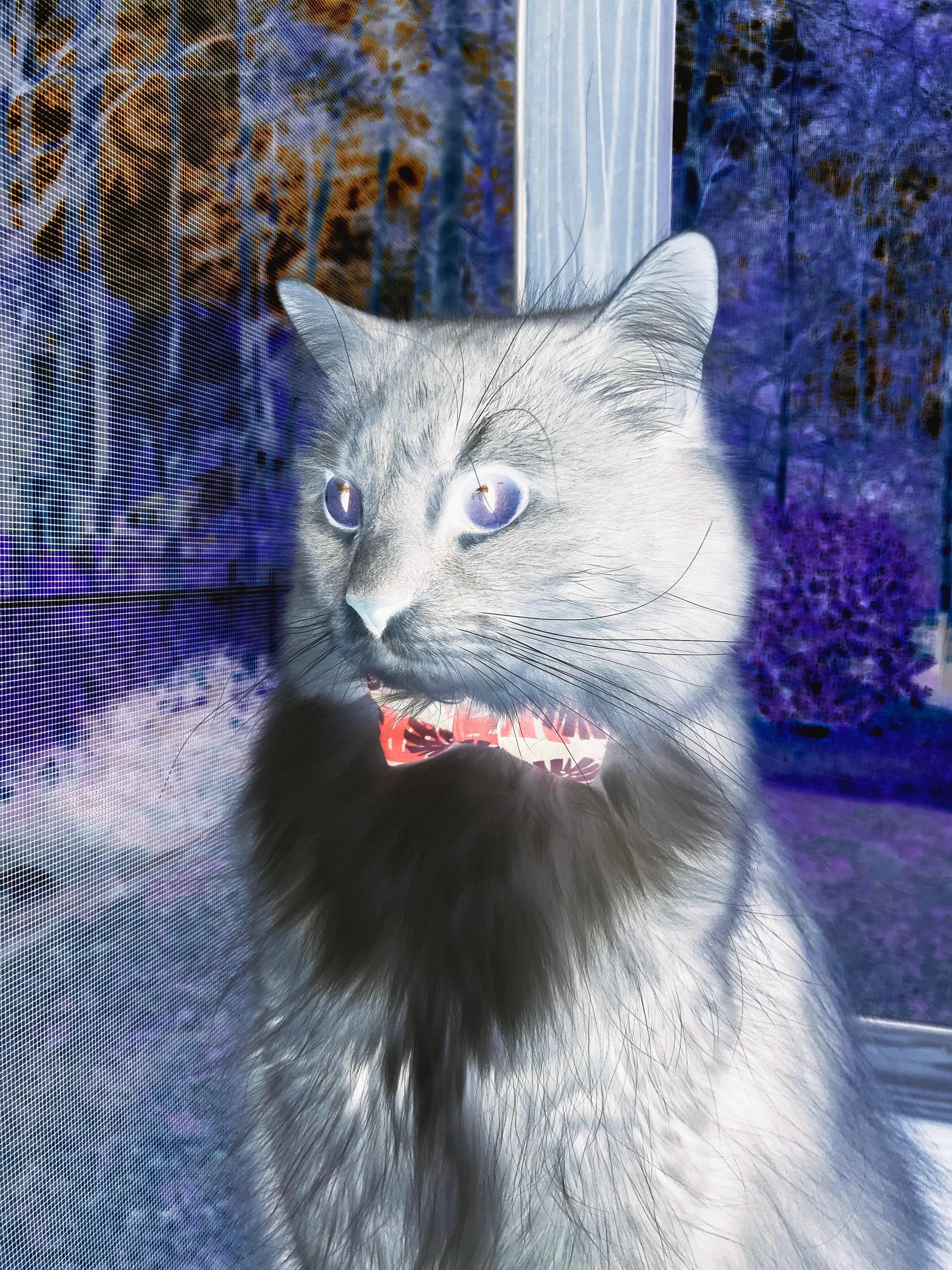 爱游戏体育（AYX）官方APP下载-贾瓦迪：为非洲泳坛注入新活力，贾贾马迪