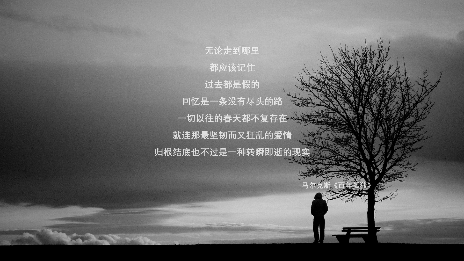 达米恩·麦肯齐：全黑队最具威胁的进攻球员之一，每一次突破都充满看点