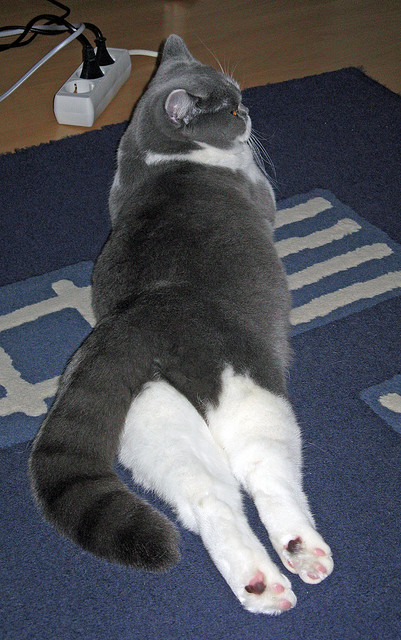 青少年足球比赛采用智能化设备,实现全场实时数据分析,青少年足球实战智慧电子版