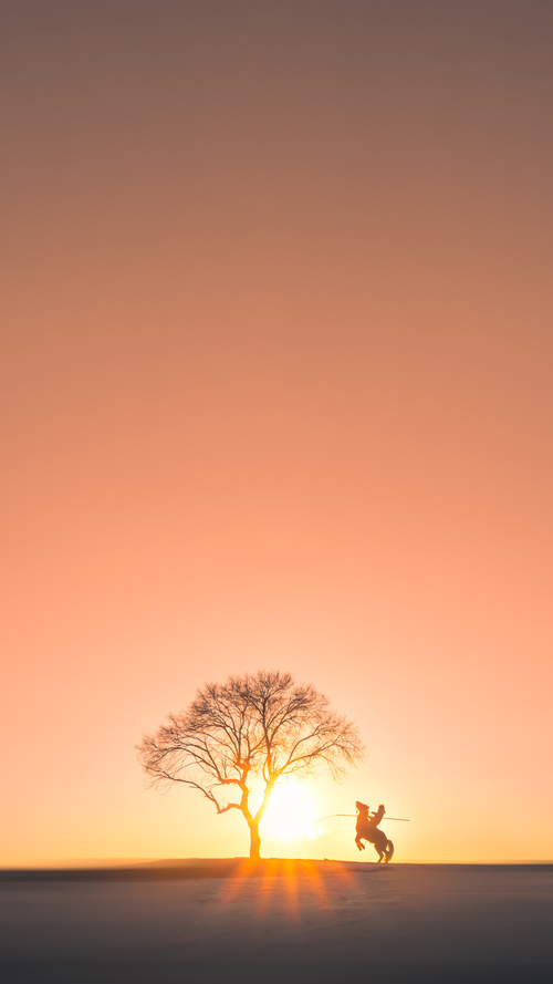 马里男篮在非洲锦标赛中夺冠,体育振兴步伐加快
