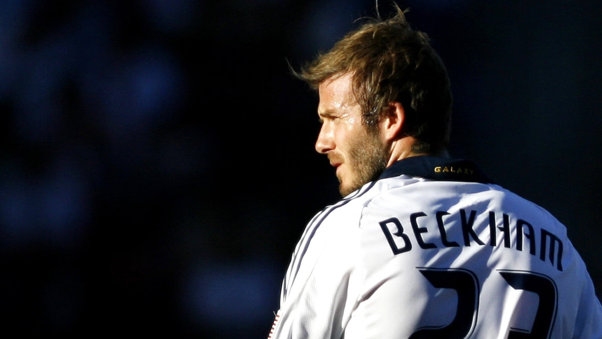 掘金迎来重要球员复出,战力大增,掘金球员介绍